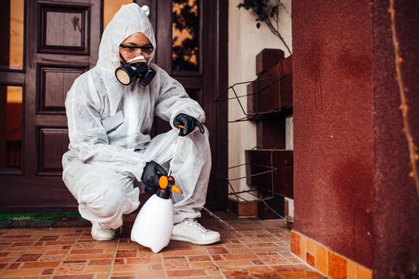 Attic and Crawl Space Rodent Treatment in Cache