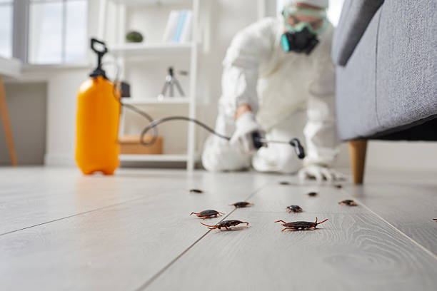 Commercial Rodent Management in Cache
